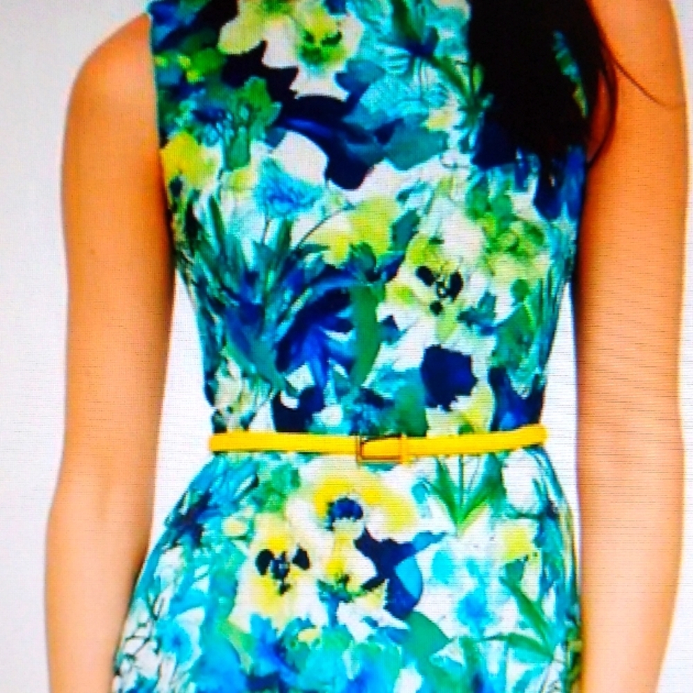 Evan Picone Black Label Belted Floral Sleeveless Dress Size 6